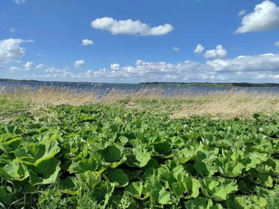 Holiday house 8 person holiday home in Løgstrup-By Traum - Outdoor photo 35