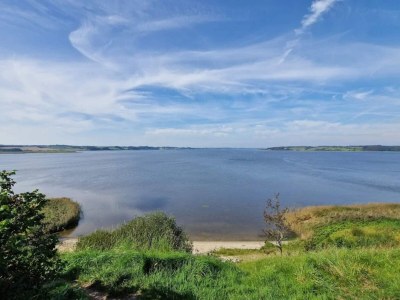 Holiday house 8 person holiday home in Løgstrup-By Traum - Outdoor photo 36