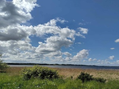 Holiday house 8 person holiday home in Løgstrup-By Traum - Outdoor photo 42