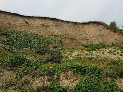 Holiday house 5 person holiday home in Roslev-By Traum - Outdoor photo 14