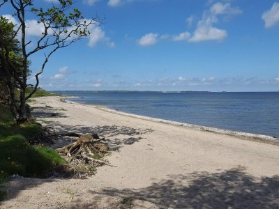 Holiday house 5 person holiday home in Roslev-By Traum - Outdoor photo 20