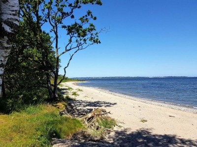 Holiday house 5 person holiday home in Roslev-By Traum - Outdoor photo 27