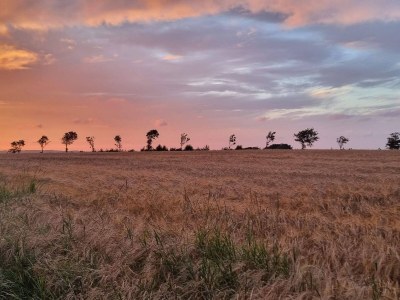 Holiday house 5 person holiday home in Roslev-By Traum - Outdoor photo 33