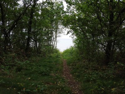 Holiday house 5 person holiday home in Roslev-By Traum - Outdoor photo 34