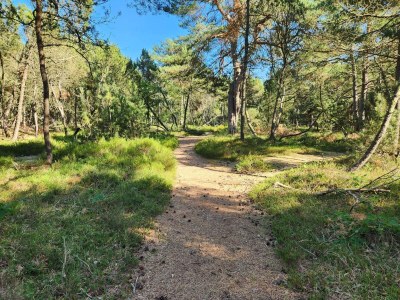 Holiday house 6 Personen Ferienhaus in Hadsund-By Traum - Outdoor photo 44