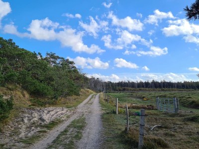 Holiday house 8 person holiday home in Melby-By Traum - Outdoor photo 20
