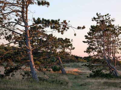 Holiday house 8 person holiday home in Melby-By Traum - Outdoor photo 23