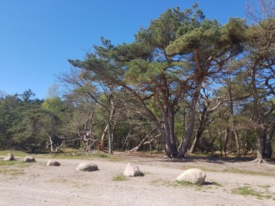 Holiday house 8 person holiday home in Melby-By Traum - Outdoor photo 40