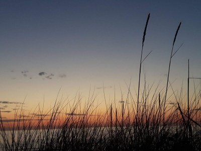 Holiday house 8 person holiday home in Melby-By Traum - Outdoor photo 41