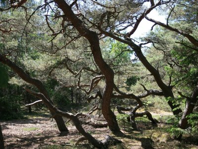 Holiday house 8 person holiday home in Melby-By Traum - Outdoor photo 42