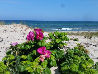 Holiday house 8 person holiday home in Melby-By Traum - Outdoor photo 46