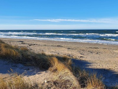 Holiday house 8 person holiday home in Melby-By Traum - Outdoor photo 47