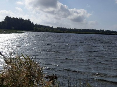 Holiday house 12 Personen Ferienhaus in Væggerløse-By Traum - Outdoor photo 40