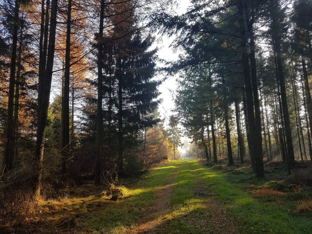 Holiday house 6 Personen Ferienhaus in Toftlund-By Traum - Outdoor photo 5