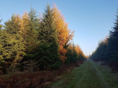 Holiday house 6 Personen Ferienhaus in Toftlund-By Traum - Outdoor photo 25