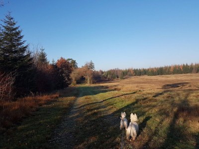 Holiday house 6 Personen Ferienhaus in Toftlund-By Traum - Outdoor photo 26