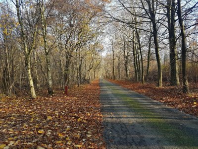 Holiday house 6 Personen Ferienhaus in Toftlund-By Traum - Outdoor photo 37