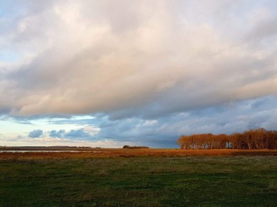 Apartment 4 Personen Ferienhaus in Bogense-By Traum - Outdoor photo 22