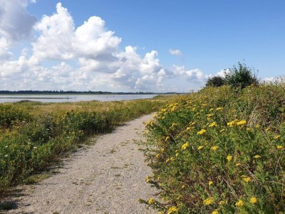 Apartment 4 Personen Ferienhaus in Bogense-By Traum - Outdoor photo 30