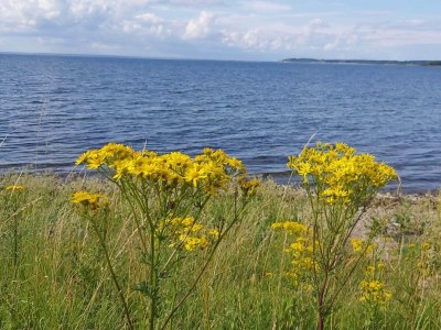 Apartment 4 Personen Ferienhaus in Bogense-By Traum - Outdoor photo 31