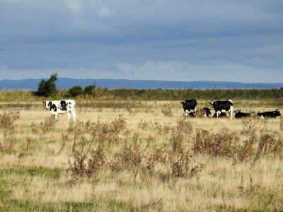 Apartment 4 Personen Ferienhaus in Bogense-By Traum - Outdoor photo 32