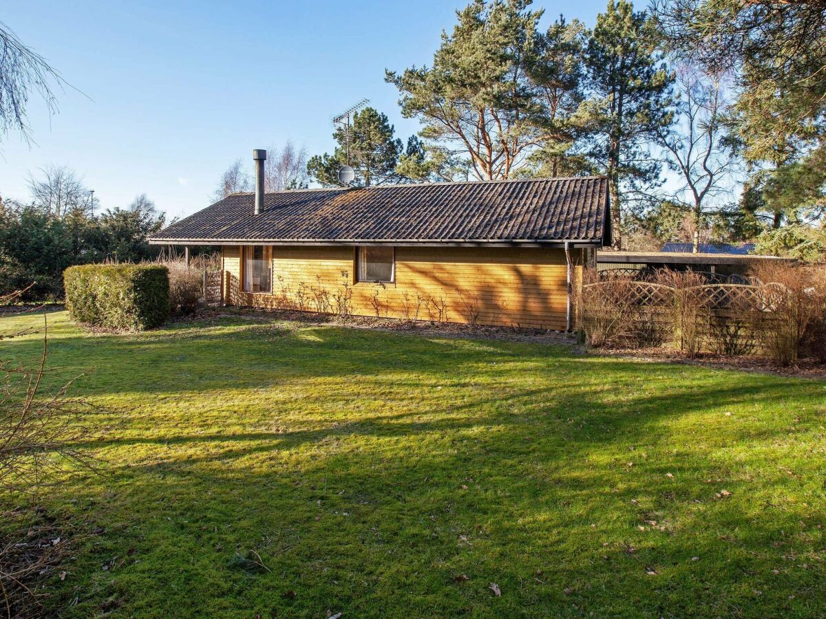 Holiday house Modernes Refugium am Strand -- By Traum Ferienwohnungen - Outdoor photo 5
