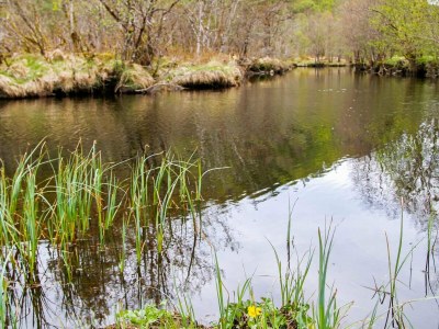 Holiday house 4 person holiday home in Leirvik i Sogn - Outdoor photo 4