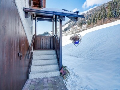 Apartment Farmhouse in Hollersbach near Ski Slopes - Outdoor photo 5
