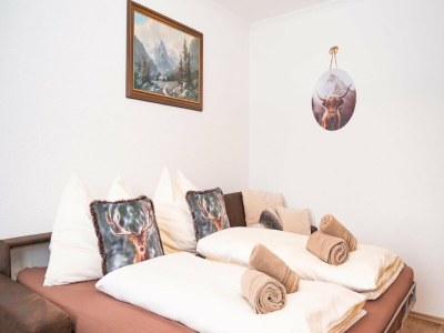 Apartment Farmhouse in Hollersbach near Ski Slopes - Features photo 18