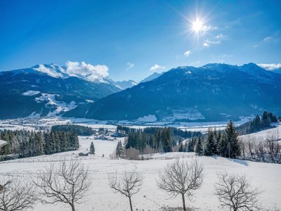 Apartment Farmhouse in Hollersbach near Ski Slopes - Environment photo 22