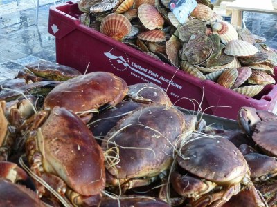 Holiday house Holiday Home in Erquy near Sandy Beaches - Environment photo 15