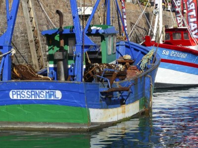 Holiday house Holiday Home in Erquy near Sandy Beaches - Environment photo 17