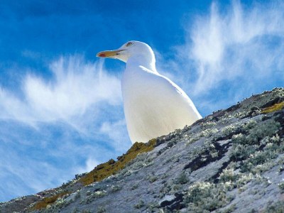 Holiday house House in Hillion near GR 34 Coastal Path - Environment photo 24