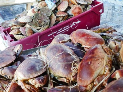 Holiday house House in Saint-Quay near 7 Beaches - Outdoor photo 19