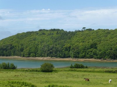 Holiday house Haus in Saint-Quay nahe 7 Strände - Environment photo 31