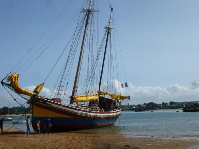 Holiday house Haus in Saint-Quay nahe 7 Strände - Environment photo 38