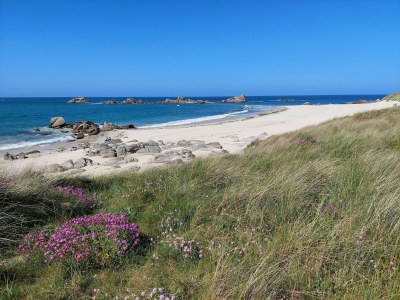 Holiday house Holiday Home in Cléder near Les Amiets Beach - Environment photo 29