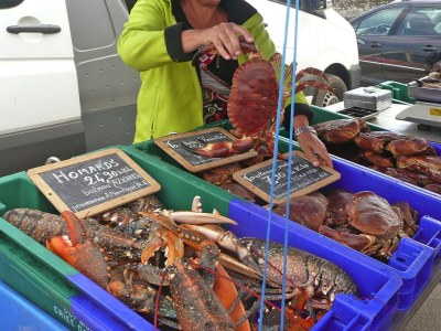 Holiday house Haus-Nr: BRE05326-F - Environment photo 24