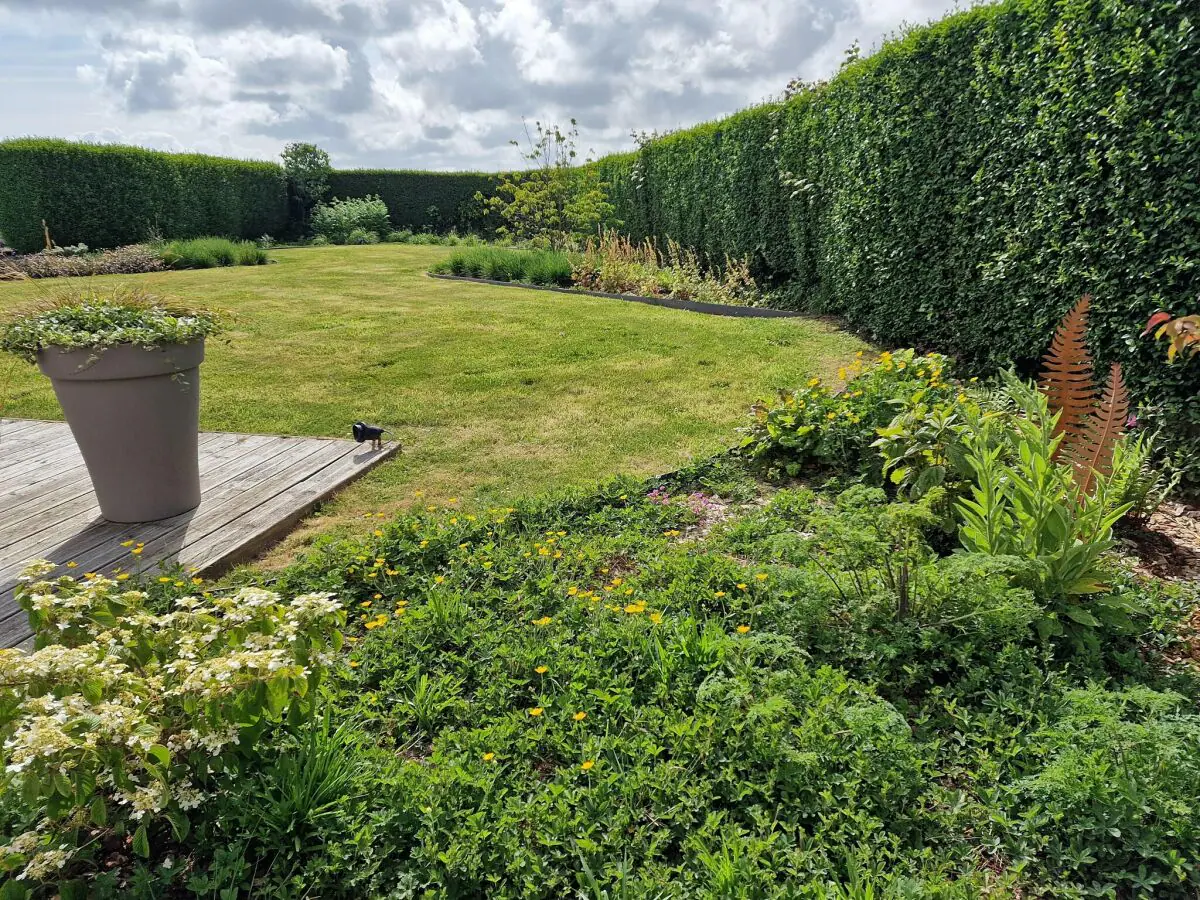 Holiday house Holiday Home in Plougasnou near Sandy Beach - Outdoor photo 4