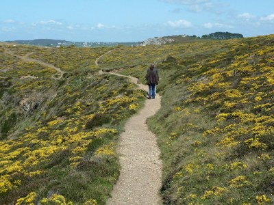 Holiday house Ferienhaus in Crozon nahe Sandstränden - Environment photo 24