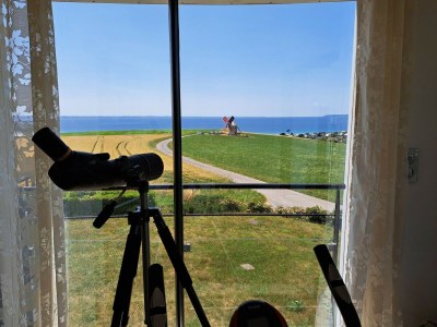 Holiday house Villa in Telgruc-sur-Mer with Sea Views & Jacuzzi - Outdoor photo 6