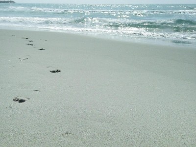 Holiday house Terraced House Saintes-Maries Near Beaches - Outdoor photo 22