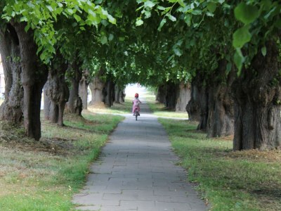 Bungalow Bungalow in Neubukow mit Terrasse und Garten - Environment photo 36