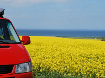 Bungalow Bungalow in Neubukow mit Terrasse und Garten - Environment photo 37
