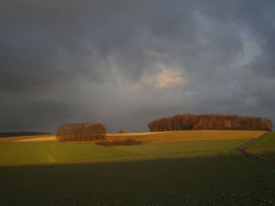 Holiday house Ferienhaus Mosel mit privater Sauna - Environment photo 14