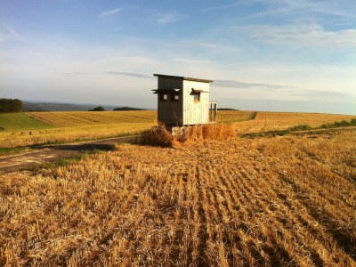 Holiday house Ferienhaus Mosel mit privater Sauna - Environment photo 15