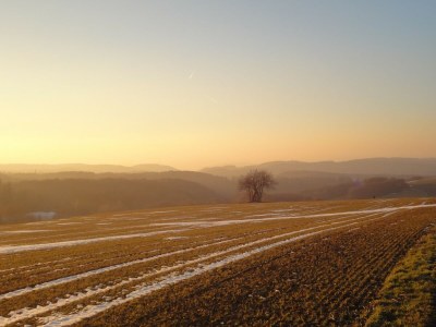 Holiday house Ferienhaus Mosel mit privater Sauna - Environment photo 17