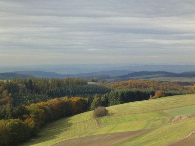 Holiday house Ferienhaus Mosel mit privater Sauna - Environment photo 19