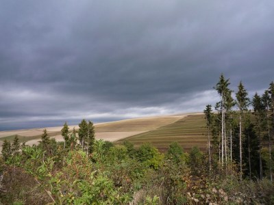 Holiday house Ferienhaus Mosel mit privater Sauna - Environment photo 20