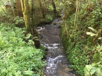 Holiday house Ferienhaus Mosel mit privater Sauna - Environment photo 25